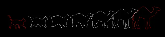 Exemple de morphing avec une polyligne unique