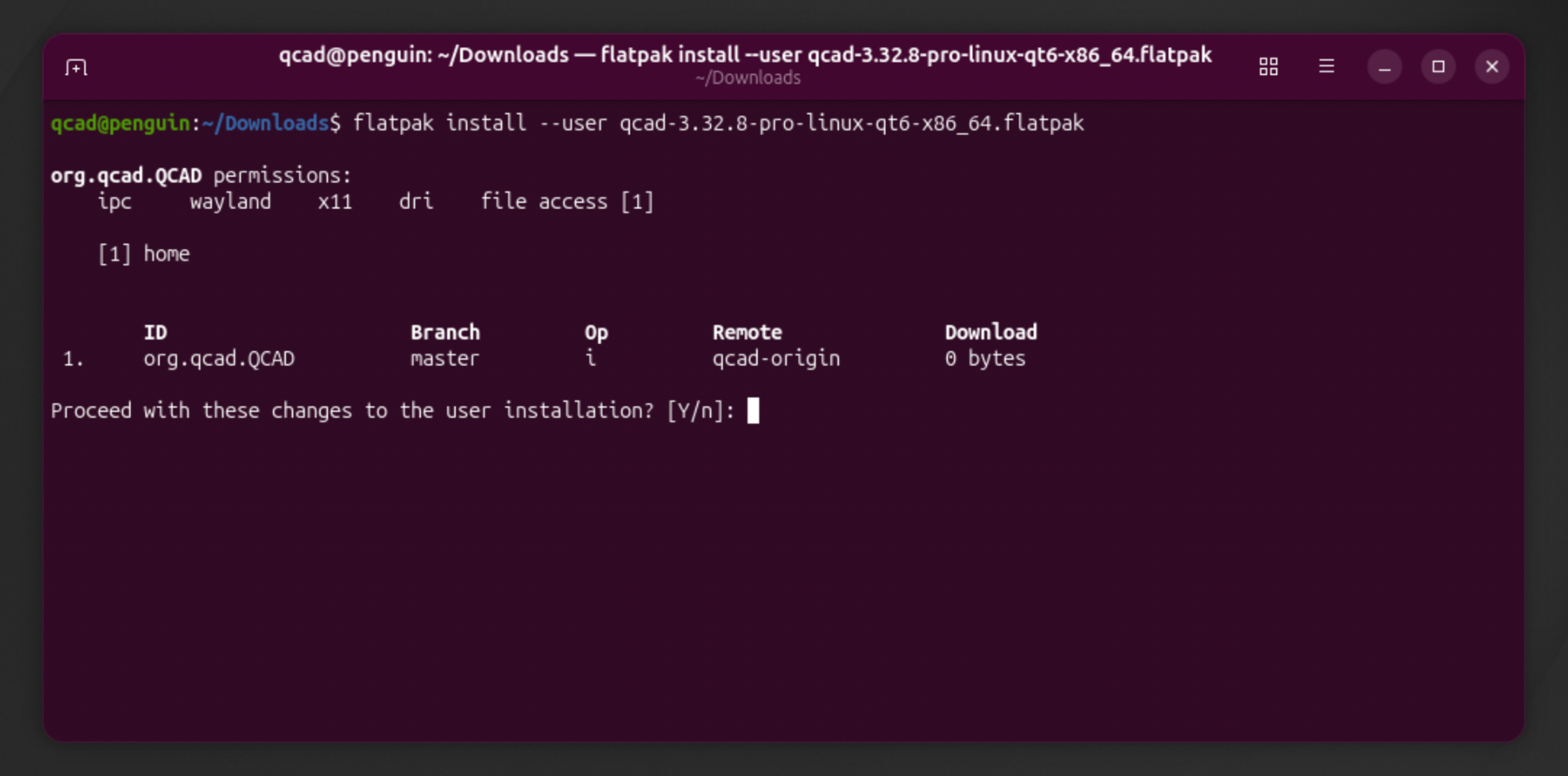 Terminal asking to proceed with the installation